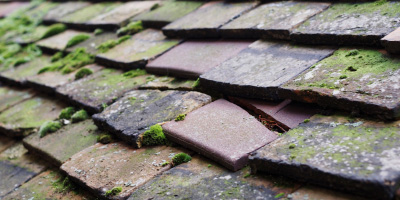 Banchory roof repair costs